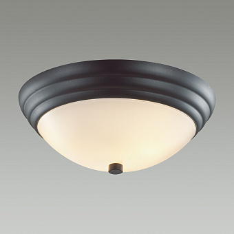 Светильник настенно-потолочный Lumion KAYLA 5263/2C 120Вт E27