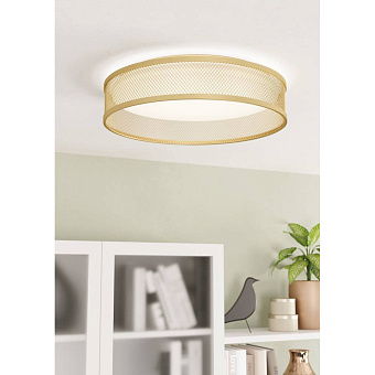 Светильник потолочный EGLO LUPPINERIA 900796 20Вт LED