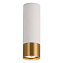 Светильник потолочный Lussole GILBERT LSP-8831 50Вт GU10
