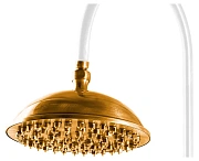 Верхний душ CAPRIGO PARTS 99-102-oro золото