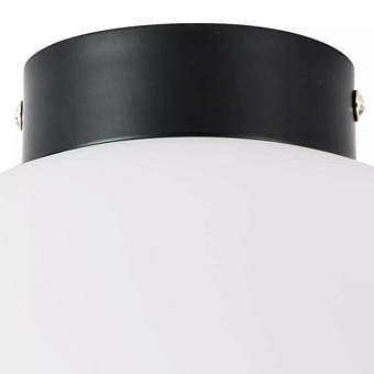 Светильник настенно-потолочный Lightstar Globo 812037 40Вт E14