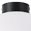 Светильник настенно-потолочный Lightstar Globo 812037 40Вт E14