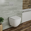 Унитаз подвесной D&K DT1396516 безободковый с микролифтом