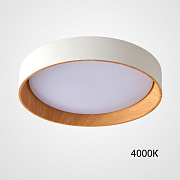 Светильник потолочный ImperiumLOFT Wenny 223982-23 32Вт LED