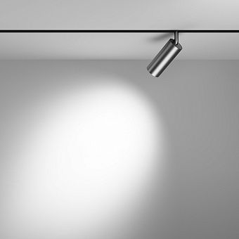 Магнитный трековый светильник Maytoni Focus LED TR032-2-12W4K-S-MG 12Вт LED матовое золото