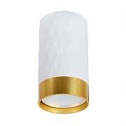 Светильник точечный накладной Arte Lamp FANG A5558PL-1WH 50Вт GU10