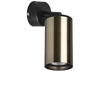 Светильник настенно-потолочный Lightstar Rullo RB431 50Вт GU10