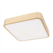 Светильник потолочный Loft It Flims 10228/C 24Вт LED
