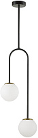 Светильник потолочный Lumion DEXTER 6500/2C 80Вт E14