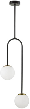 Светильник потолочный Lumion DEXTER 6500/2C 80Вт E14