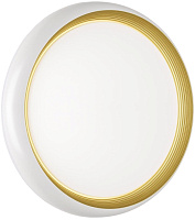 Светильник настенно-потолочный Sonex TOFIQ WHITE 7650/DL 48Вт LED