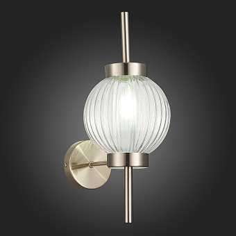 Светильник настенный ST Luce MARENA SL1155.101.01 40Вт E14