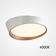 Светильник потолочный ImperiumLOFT Toronto 223857-23 36Вт LED