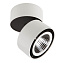 Светильник точечный накладной Lightstar Forte Muro 213850 40Вт LED