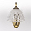 Бра MW-light Аманда 16 481024801 40Вт E27
