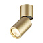 Спот накладной Odeon DUETTA 3895/1C 50Вт GU10
