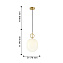 Светильник подвесной Favourite Sincera 2655-1P 40Вт G9