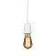 Светильник подвесной Loft It Sherwood 10091 60Вт E27