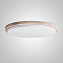 Светильник потолочный ImperiumLOFT Onar 231191-23 24Вт LED