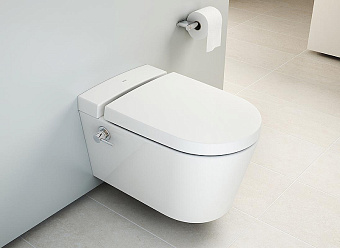 Унитаз подвесной VITRA Nest 5176B003-6233 безободковый без микролифта