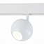 Магнитный трековый светильник ST Luce BOLE ST354.546.12 12Вт LED белый