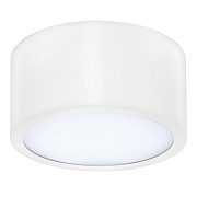 Светильник точечный накладной Lightstar Zolla 211916 10Вт LED