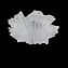 Светильник потолочный Lightstar Murano 601030 120Вт E14