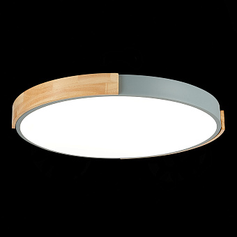 Светильник потолочный Evoluce DELIA SLE201372-01 40Вт LED