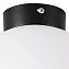 Светильник настенно-потолочный Lightstar Globo 812027 40Вт E14