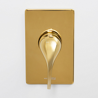 Смеситель для душа WASSERKRAFT Sauer 7151 золото глянец