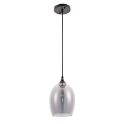 Светильник подвесной Arte Lamp PROPUS A4344SP-1BK 60Вт E27