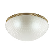 Светильник потолочный Odeon MODERN 4936/3C 120Вт E14
