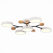 Светильник потолочный Evoluce FAEMA SLE6006-502-05 60Вт LED