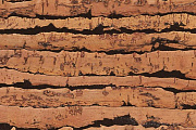 Пробковый пол CORKSTYLE NaturalCork 915х305х10,5мм Tigre Creme TIGRE CREME 1,953кв.м