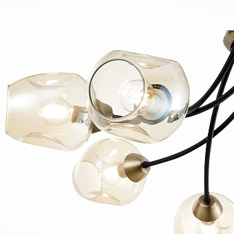 Светильник потолочный Evoluce BESANO SLE205302-06 240Вт E14