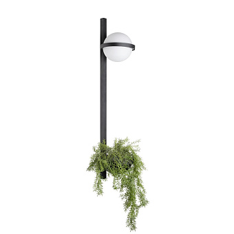 Светильник настенный Loft It Jardin 10121W/B 24Вт LED