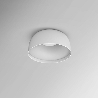 Светильник потолочный ImperiumLOFT Brim 184481-26 12Вт LED