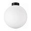 Светильник настенно-потолочный Lightstar Globo 812037 40Вт E14