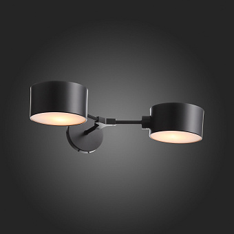 Светильник настенный Evoluce GIMENTO SLE183401-02 60Вт E14