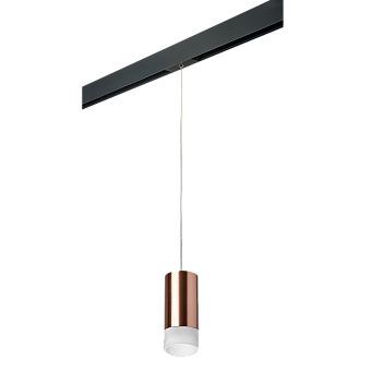 Трековый светильник Lightstar Rullo PRORP43031 50Вт GU10 матовый для однофазного трека
