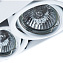 Светильник точечный встраиваемый Arte Lamp CARDANI PICCOLO A5941PL-2WH 50Вт GU10