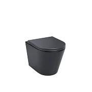 Унитаз подвесной IDDIS Calipso CALR3BMi25 безободковый с микролифтом