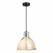 Светильник подвесной Evoluce BACCHI SLE114723-01 60Вт E27