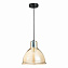 Светильник подвесной Evoluce BACCHI SLE114723-01 60Вт E27