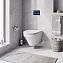 Инсталляция с унитазом AM-PM Inspire IS450A38.501700
