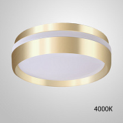 Светильник потолочный ImperiumLOFT Fam 228538-23 12Вт LED