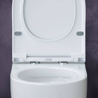Унитаз подвесной BERGES EGO RR 082111RR безободковый с микролифтом