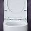 Унитаз подвесной BERGES EGO RR 082111RR безободковый с микролифтом