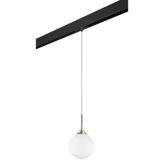 Трековый светильник Lightstar Globo PRO813023 40Вт E14 белый для однофазного трека