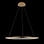Светильник подвесной Loft It Ring 10014L 24Вт LED